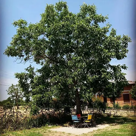 Sala Dell Estate 公寓式酒店 4*