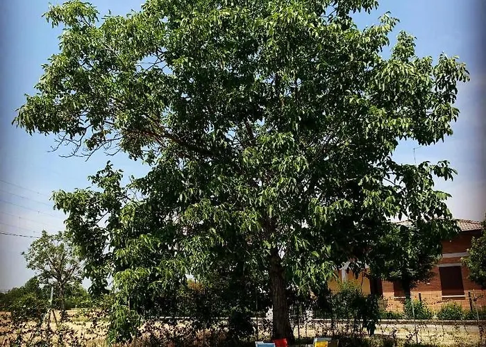 Sala Dell Estate Aparthotel 4*